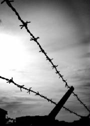 barbed_wire_fence-575x450.jpg