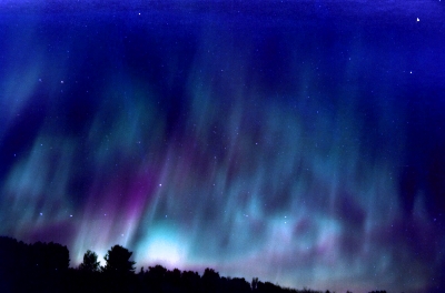 aurora_borealiscrooktree3.jpg
