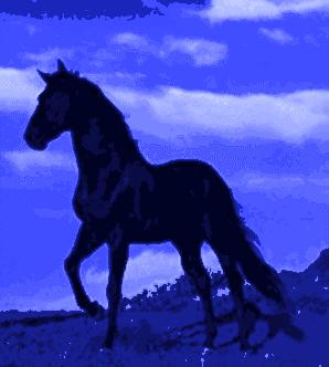 blue_storybook_horse_326_jpg.jpg