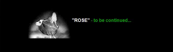 bonnie-rose-continued.jpg