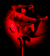 red-rose2.gif