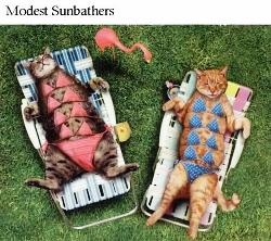 sun-worshipers.jpg