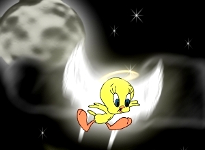 tweety_bird_in_the_night_sky.jpg